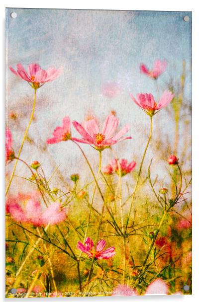 Wildflowers in the meadow Acrylic by jim Hamilton