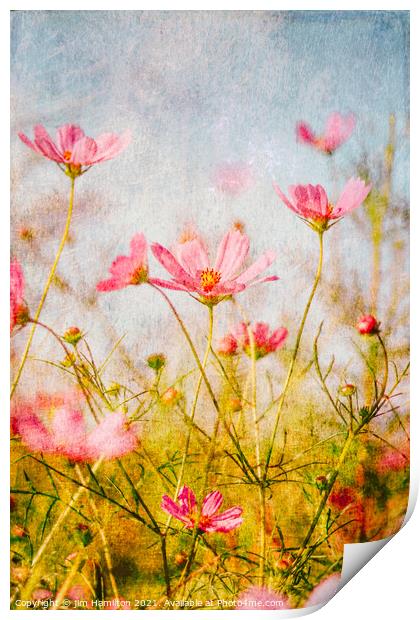Wildflowers in the meadow Print by jim Hamilton