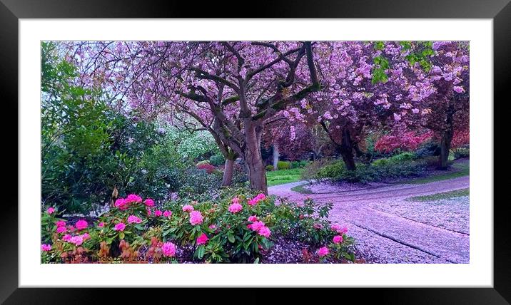 Spring in Miller Park Framed Mounted Print by Michele Davis