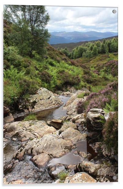 Edramucky Trail, Ben Lawers, Scotland Acrylic by Imladris 