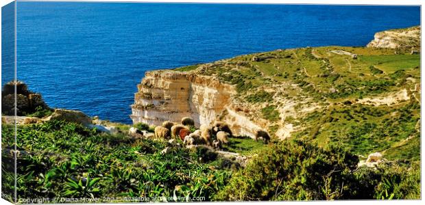 Sanap Cliffs Gozo Malta Canvas Print by Diana Mower
