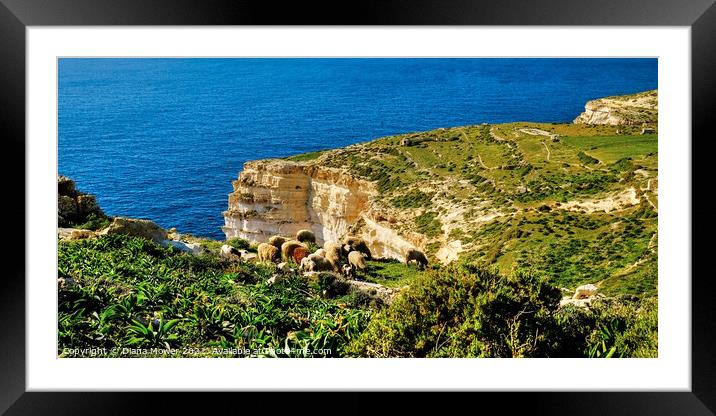 Sanap Cliffs Gozo Malta Framed Mounted Print by Diana Mower