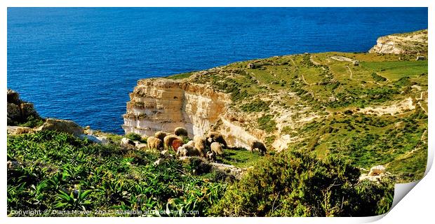 Sanap Cliffs Gozo Malta Print by Diana Mower