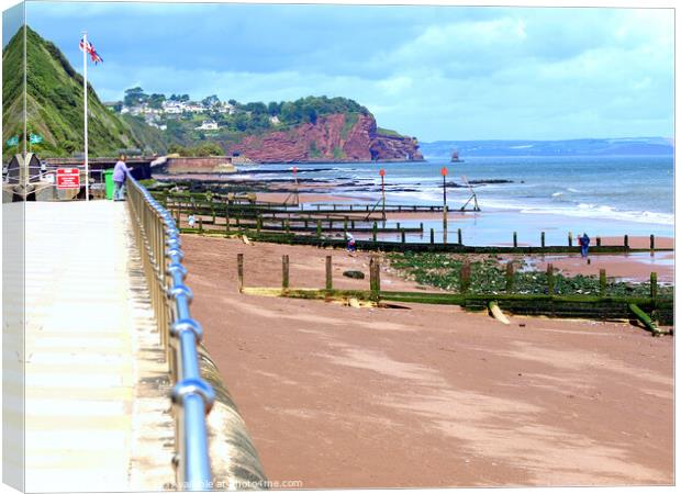 Beach and Groynes at Teignmouth in Devon. Canvas Print by john hill