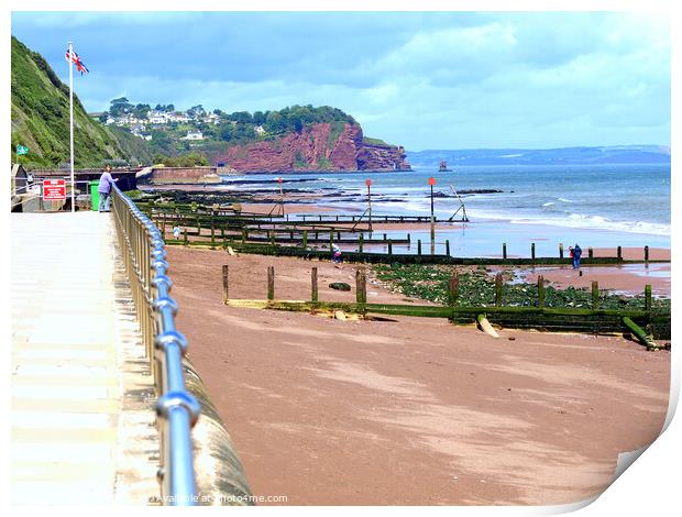 Beach and Groynes at Teignmouth in Devon. Print by john hill