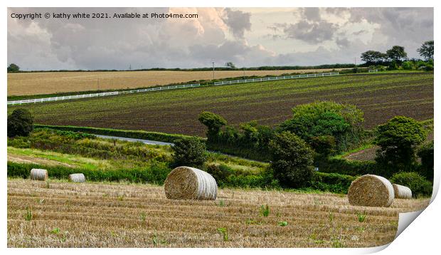 Straw bails waiting to be collected in a field  Print by kathy white