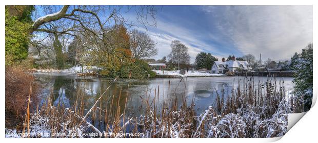 Badger in Winters Snow - Panorama Print by Philip Brown