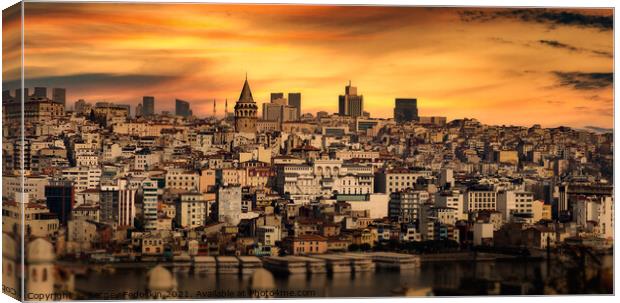 Istanbul cityscape with Galata Kulesi Tower. Turkey. Canvas Print by Sergey Fedoskin