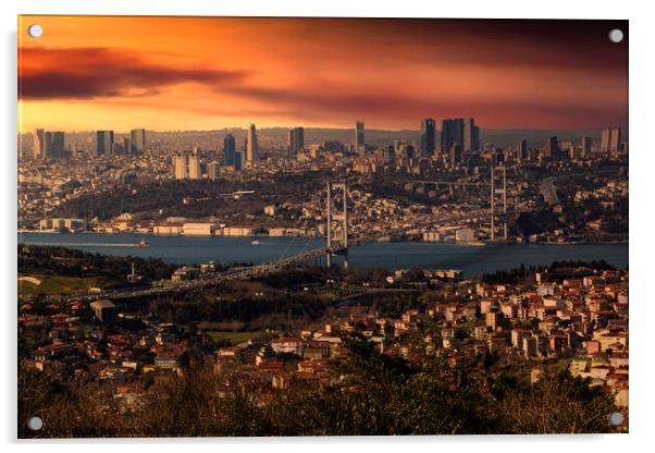 Panorama of european part of Istanbul with Bosphorus. Acrylic by Sergey Fedoskin
