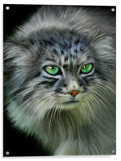 Pallas Cat Acrylic by Julie Hoddinott