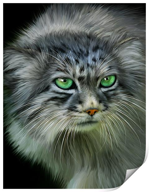 Pallas Cat Print by Julie Hoddinott