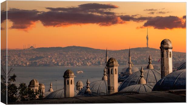 The view of the Bosphorus and old town of Istanbul, Turkey. Canvas Print by Sergey Fedoskin