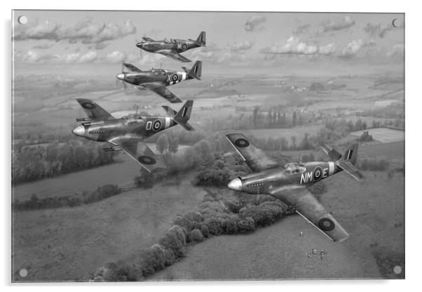 268 Squadron Mustangs B&W version Acrylic by Gary Eason