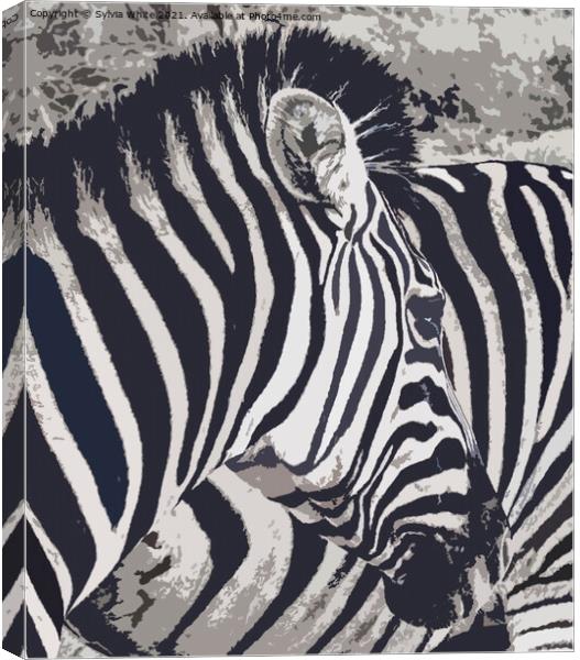 zebra art Canvas Print by Sylvia White