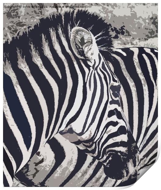zebra art Print by Sylvia White