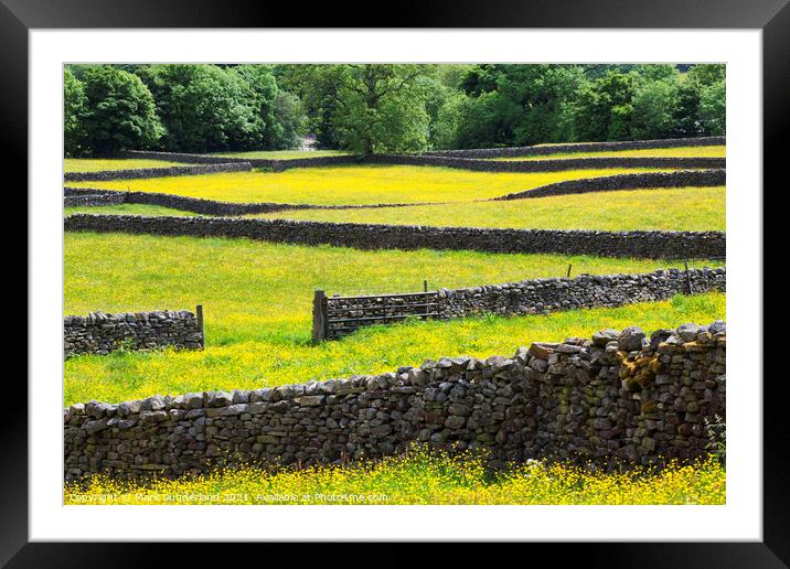 Dry Stone Walls and Buttercup Meadows at Muker Swaledale Yorkshi Framed Mounted Print by Mark Sunderland