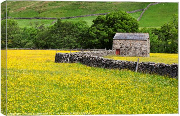 Field Barn in Buttercup Meadows at Muker Canvas Print by Mark Sunderland