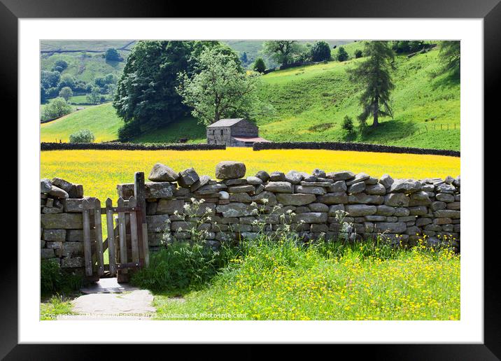 Buttercup Meadow at Muker Framed Mounted Print by Mark Sunderland