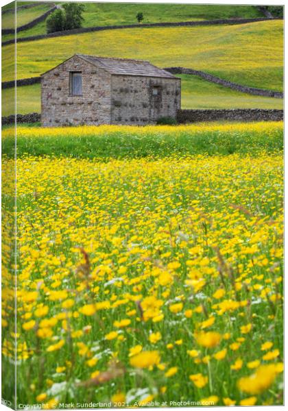 Field Barn in Buttercup Meadows at Muker Canvas Print by Mark Sunderland