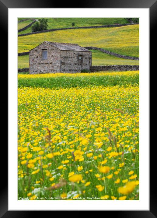 Field Barn in Buttercup Meadows at Muker Framed Mounted Print by Mark Sunderland