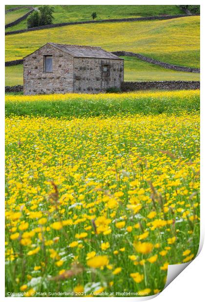 Field Barn in Buttercup Meadows at Muker Print by Mark Sunderland