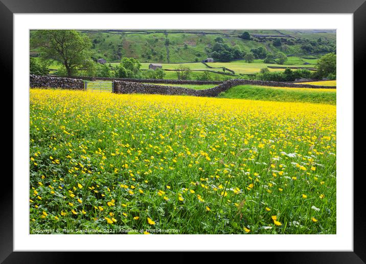 Buttercup Meadows and Dry Stone Walls at Muker Framed Mounted Print by Mark Sunderland
