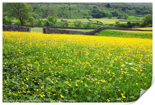 Buttercup Meadows and Dry Stone Walls at Muker Print by Mark Sunderland