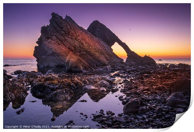 Bow Fiddle Rock at Dawn Print by Peter O'Reilly