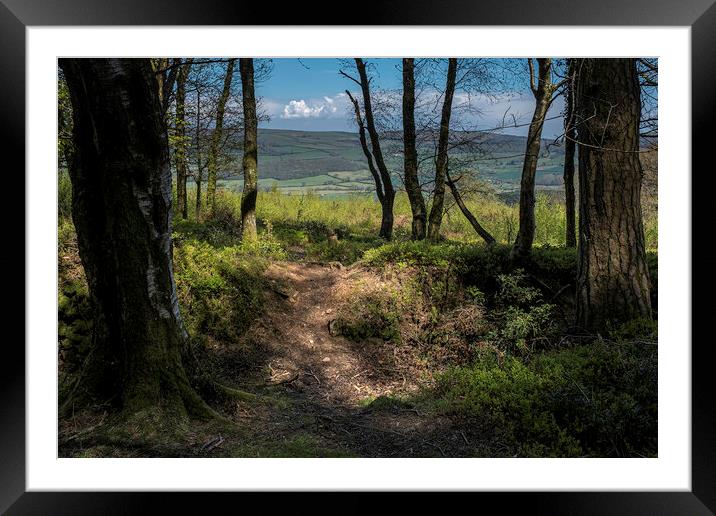 Into the light Framed Mounted Print by Dave Rowlatt