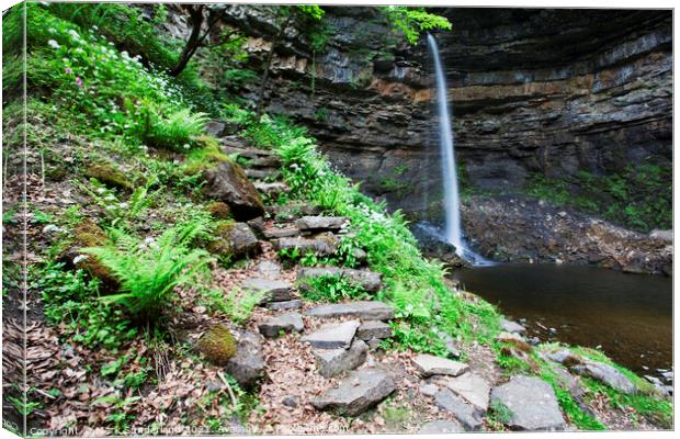 Footpath with Steps at Hardraw Force Canvas Print by Mark Sunderland