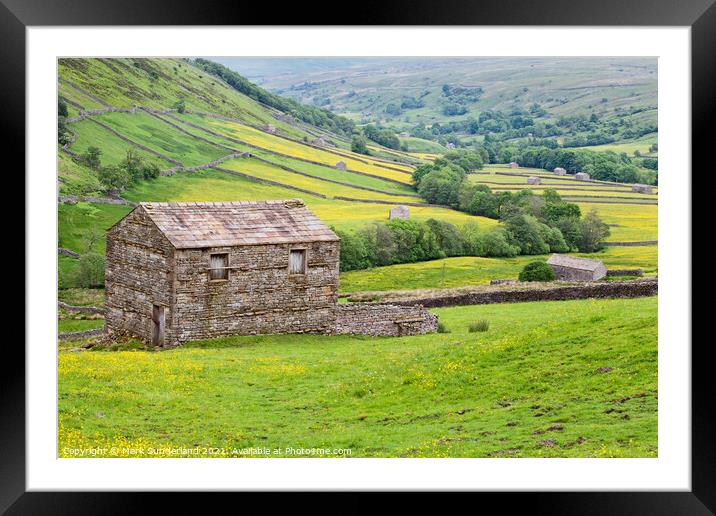 Field Barn and Buttercup Meadows near Thwaite Framed Mounted Print by Mark Sunderland