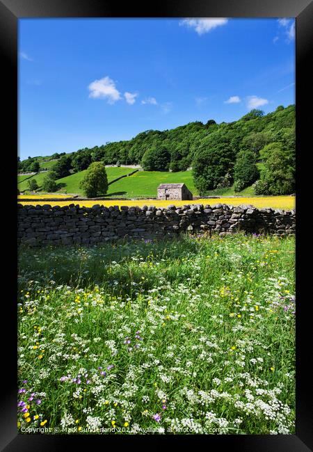 Wildflowers by the Swale at Gunnerside Framed Print by Mark Sunderland