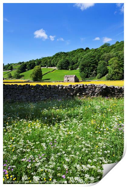 Wildflowers by the Swale at Gunnerside Print by Mark Sunderland