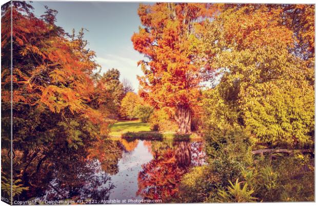 Fall foliage in France, autumnal colors landscape Canvas Print by Delphimages Art