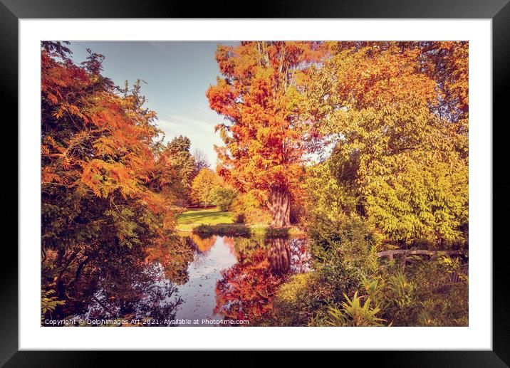 Fall foliage in France, autumnal colors landscape Framed Mounted Print by Delphimages Art