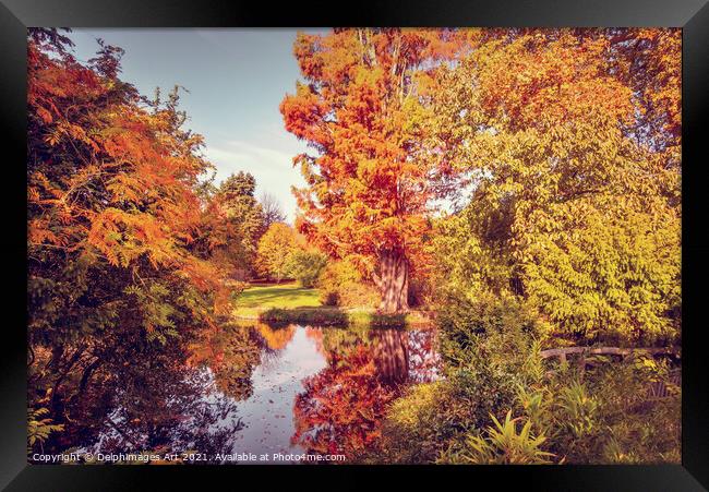 Fall foliage in France, autumnal colors landscape Framed Print by Delphimages Art
