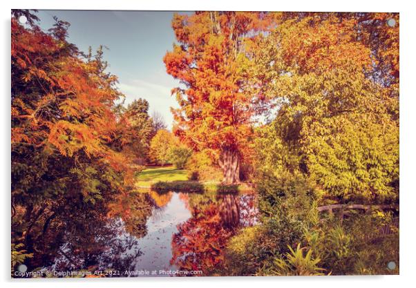 Fall foliage in France, autumnal colors landscape Acrylic by Delphimages Art