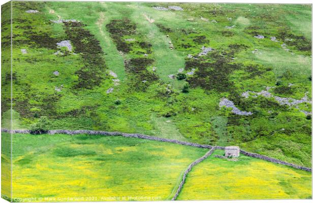 Barn and Dry Stone Walls on Kisdon Hill Canvas Print by Mark Sunderland