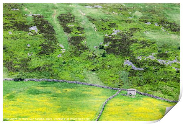 Barn and Dry Stone Walls on Kisdon Hill Print by Mark Sunderland