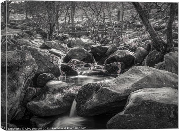 Spring at Padley Gorge Canvas Print by Clive Ingram