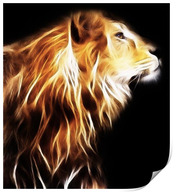 Lion Print by Sam Smith
