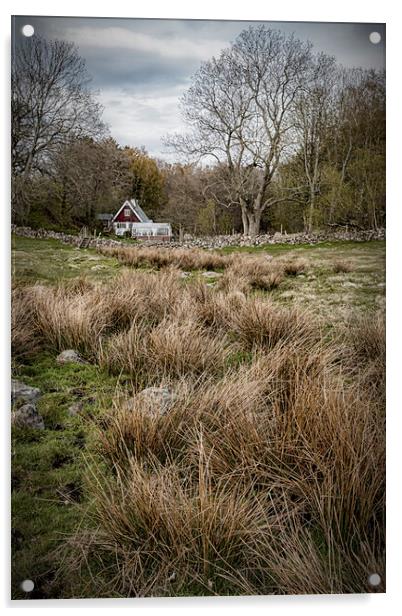Grevie Backar Landscape of Reeds Acrylic by Antony McAulay