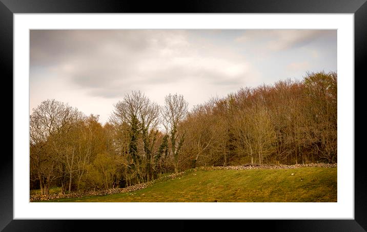 Grevie Backar Landscape Panorama Framed Mounted Print by Antony McAulay