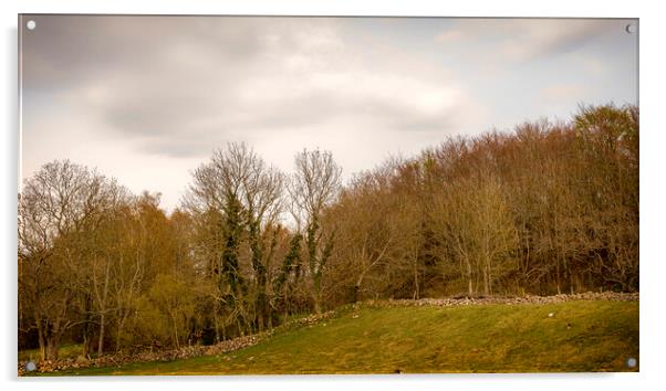 Grevie Backar Landscape Panorama Acrylic by Antony McAulay