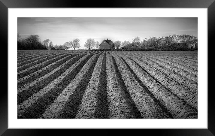 Ploughed Field in Sweden Framed Mounted Print by Antony McAulay