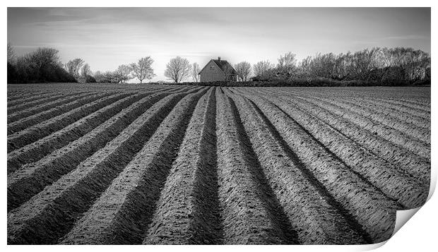 Ploughed Field in Sweden Print by Antony McAulay