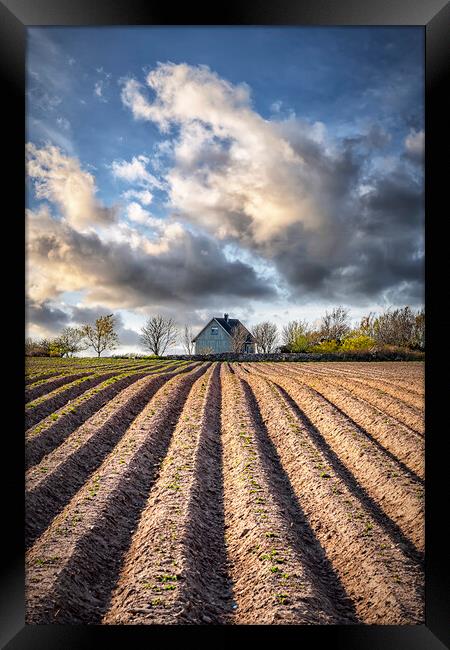 Ploughed Field with Little House in Sweden Framed Print by Antony McAulay