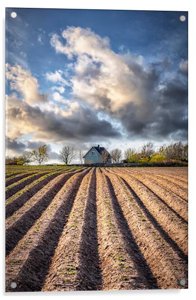 Ploughed Field with Little House in Sweden Acrylic by Antony McAulay