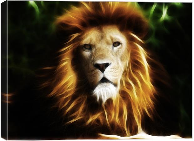 King of the jungle Canvas Print by Sam Smith