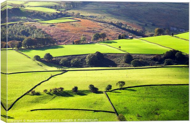 Fields and Dry Stone Walls in Nidderdale Canvas Print by Mark Sunderland